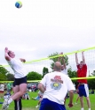 Volleyball Balls, Posts And Nets